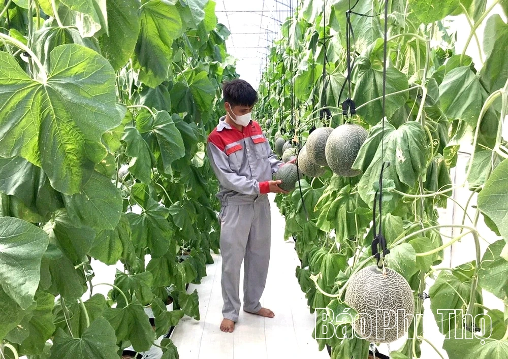 Ngành Nông nghiệp góp sức vào mục tiêu tăng trưởng hai con số của tỉnh