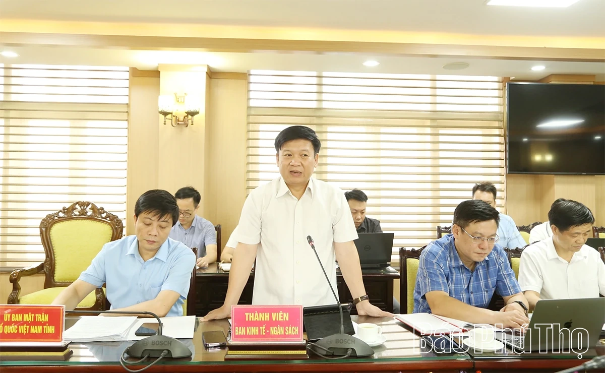 Ban Kinh tế - Ngân sách HĐND tỉnh thẩm tra các dự thảo nghị quyết