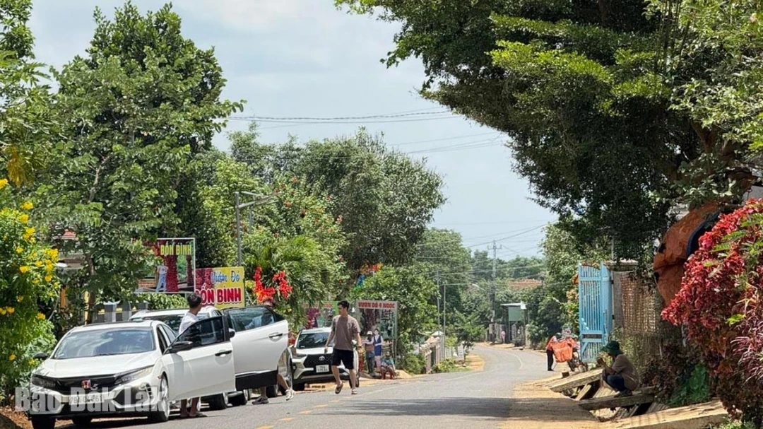 Hiệu quả kinh tế từ du lịch nông nghiệp