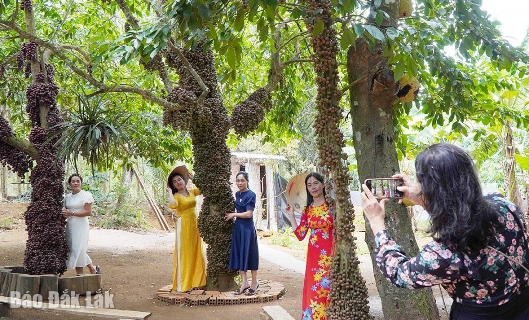 Hiệu quả kinh tế từ du lịch nông nghiệp