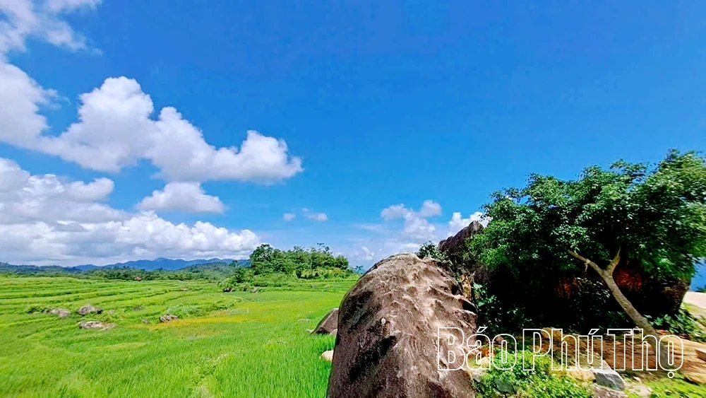 Mê mẩn ruộng bậc thang vùng cao Mường Vang