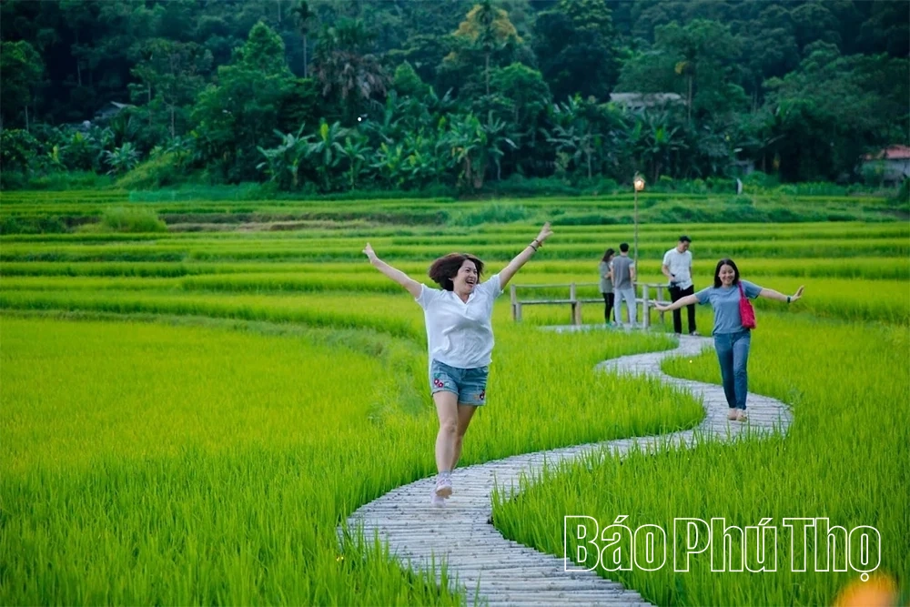 Xã Toàn Thắng thúc đẩy kinh tế du lịch, nông nghiệp sạch