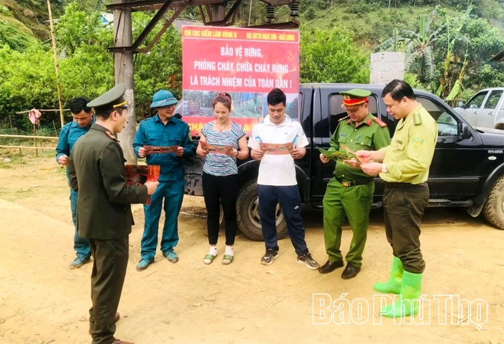 Giữ sắc lan rừng ở Khu bảo tồn thiên nhiên Ngọc Sơn - Ngổ Luông