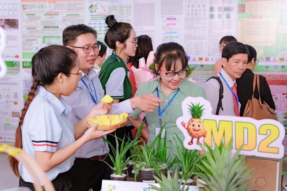 “Trái vàng” trên đất phèn Đồng Tháp Mười