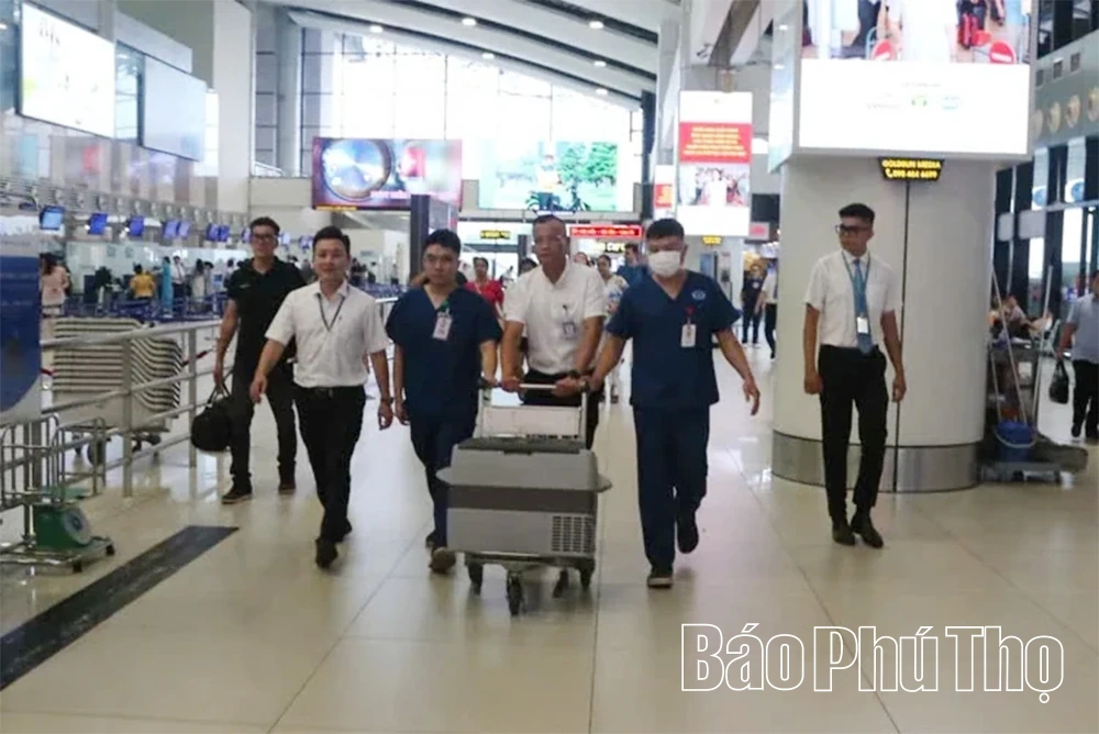 Hiến tạng hồi sinh sự sống cho 6 người