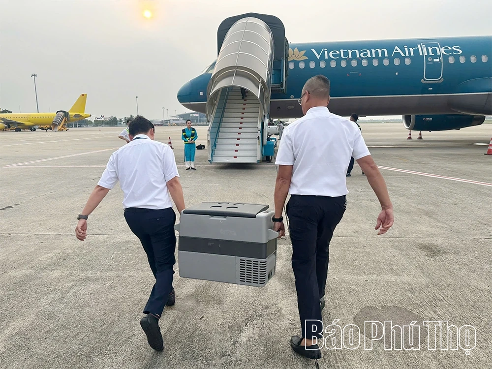 Hiến tạng hồi sinh sự sống cho 6 người