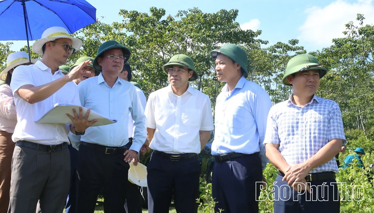 Bí thư Tỉnh ủy Đặng Xuân Phong làm việc với các xã Long Cốc, Minh Đài, Tân Sơn