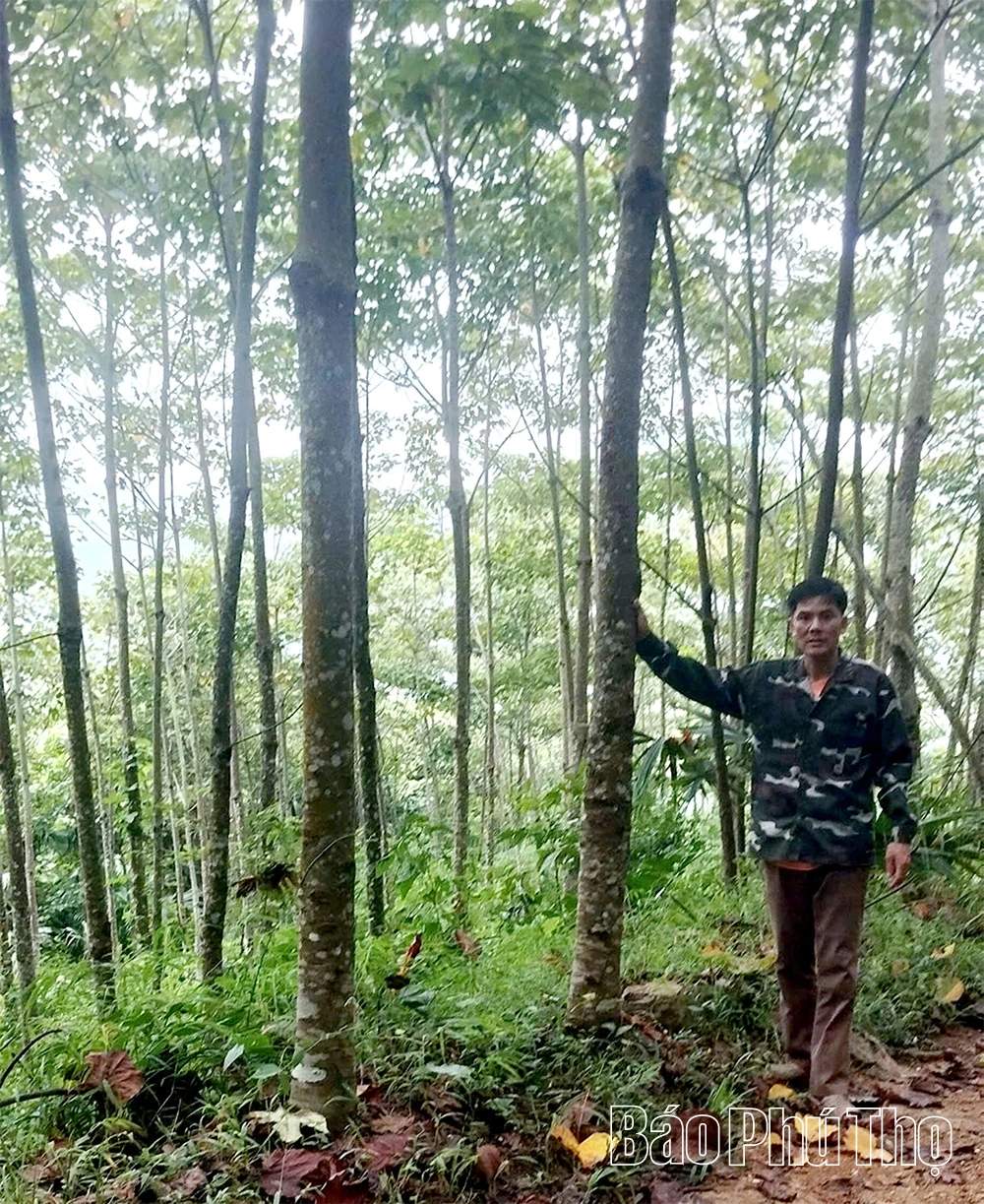 Phát huy thế mạnh phát triển kinh tế ở Khả Cửu