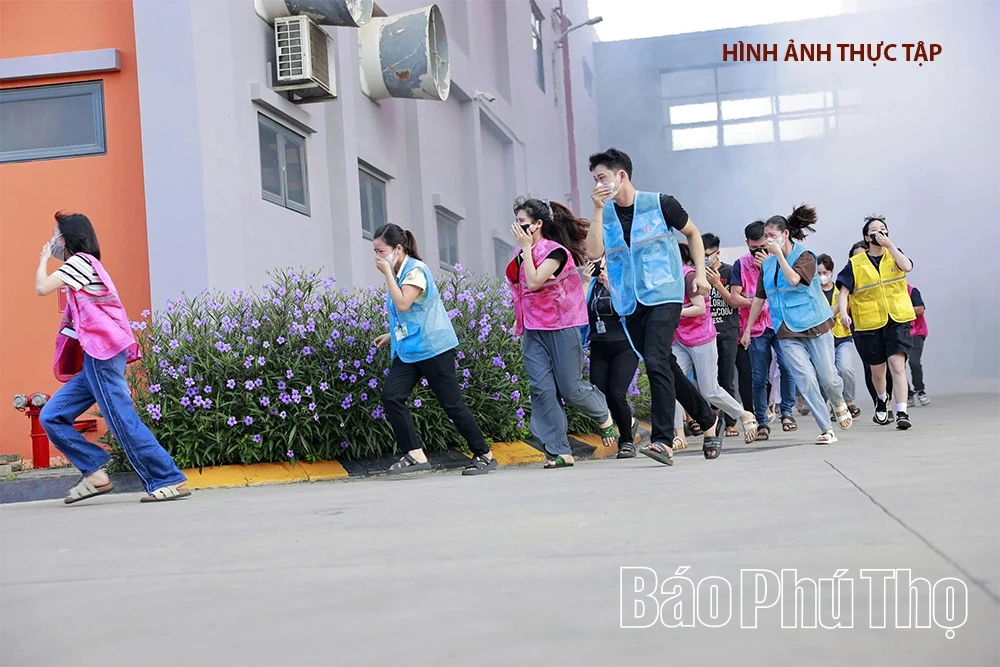 Thực tập hôm nay, an toàn ngày mai