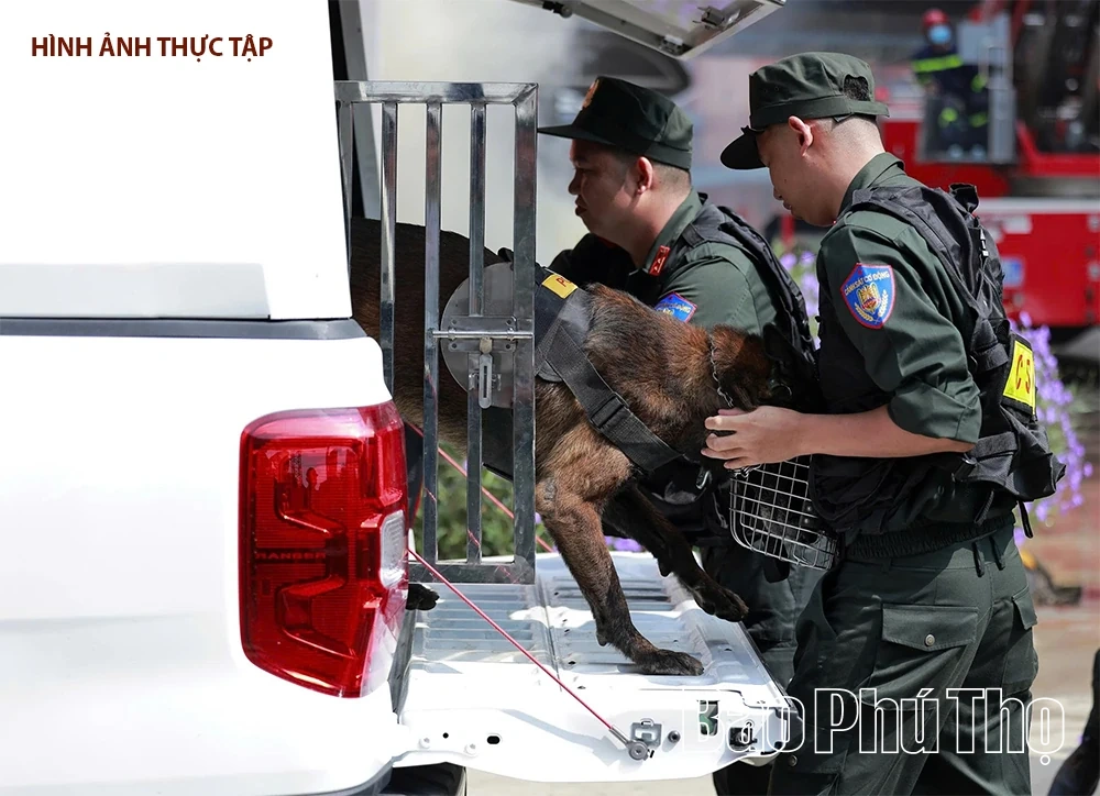 Thực tập hôm nay, an toàn ngày mai