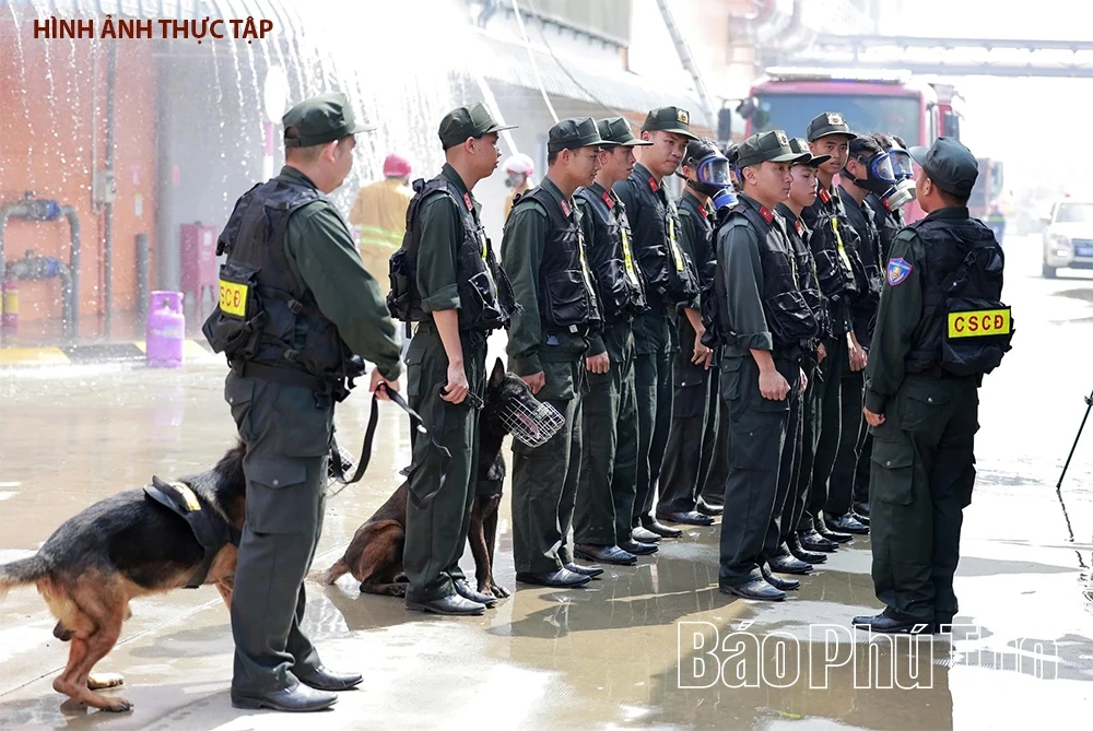 Thực tập hôm nay, an toàn ngày mai