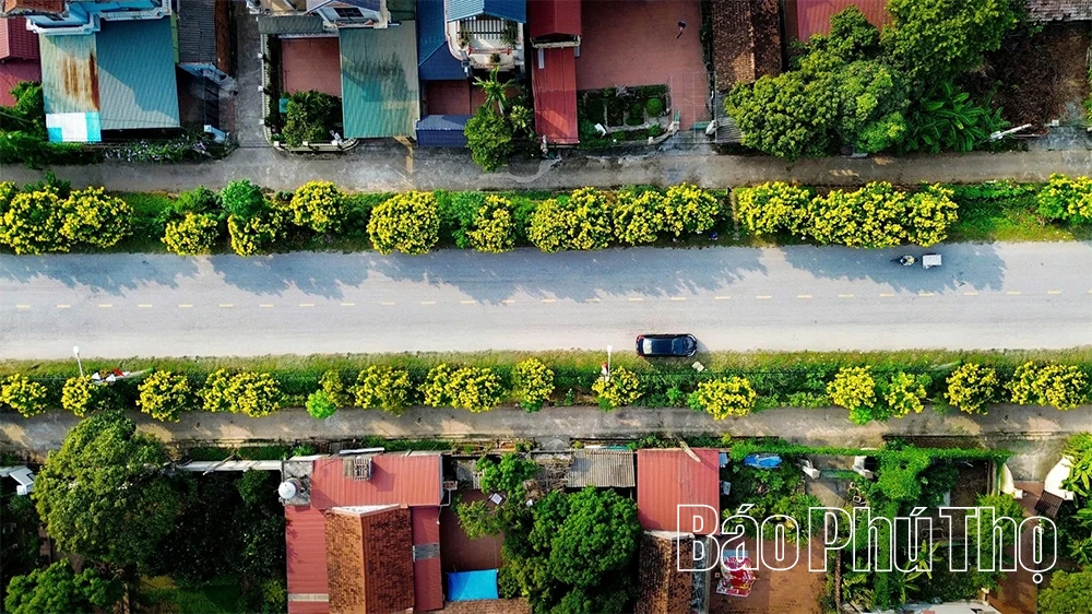 Nghe mùa thu kể chuyện