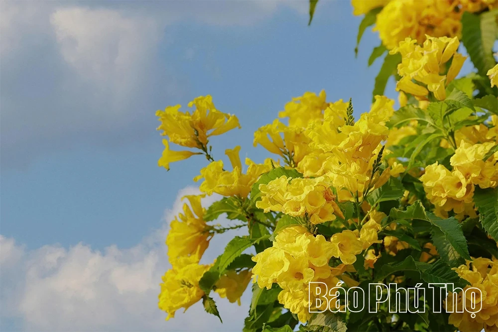 Nghe mùa thu kể chuyện