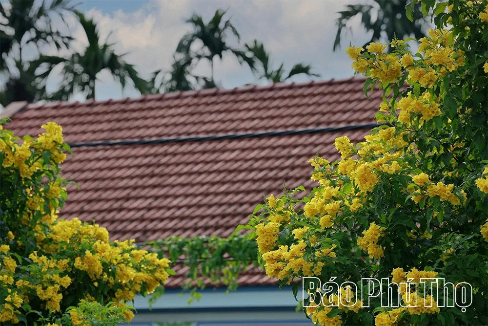 Nghe mùa thu kể chuyện