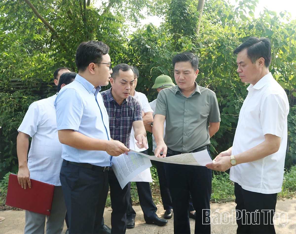 Kiểm tra công tác chuẩn bị khởi công các công trình chào mừng Đại hội Đảng bộ tỉnh và khảo sát vị trí quy hoạch nhà ở xã hội