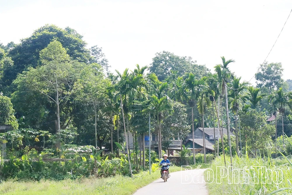 Nữ trưởng thôn được dân mến, dân tin