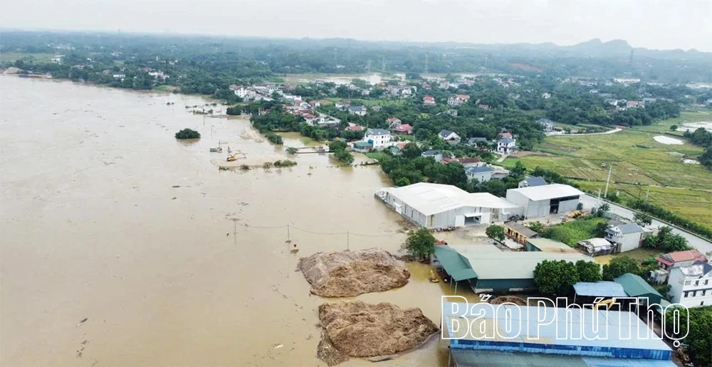 Nước sông Lô lên cao, nhiều tài sản của người dân và doanh nghiệp ngập sâu