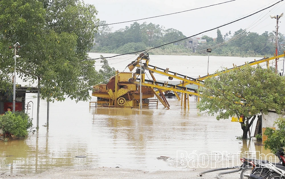 Nước sông Lô lên cao, nhiều tài sản của người dân và doanh nghiệp ngập sâu