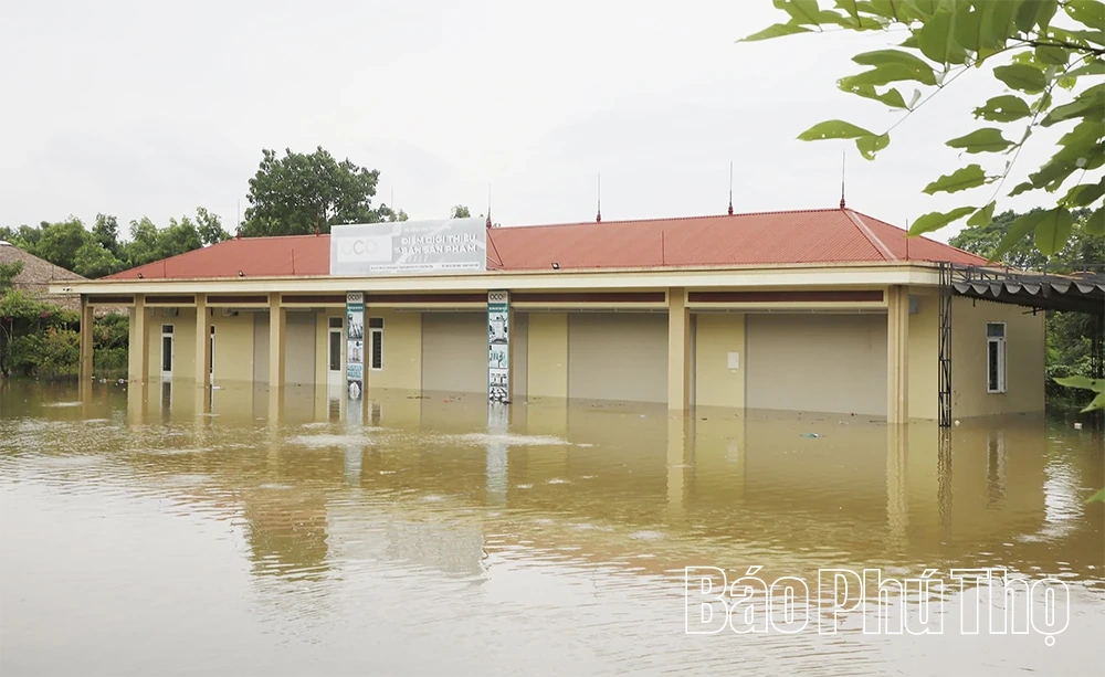 Nước sông Lô lên cao, nhiều tài sản của người dân và doanh nghiệp ngập sâu