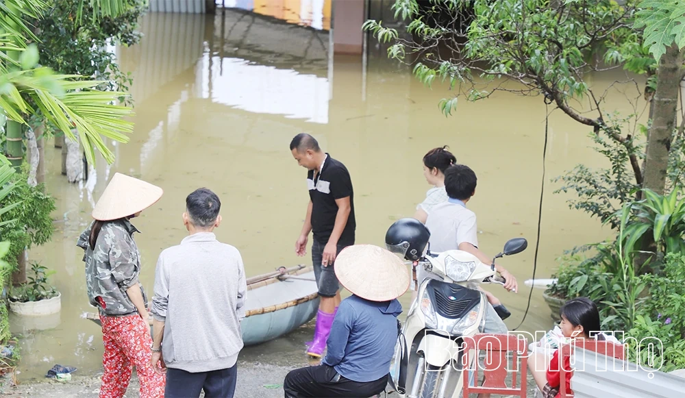 Nước sông Lô lên cao, nhiều tài sản của người dân và doanh nghiệp ngập sâu