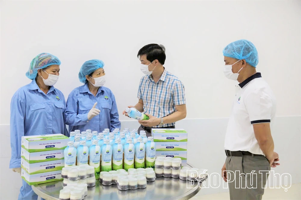 Kinh tế tư nhân - lực lượng tiên phong trong kỷ nguyên mới