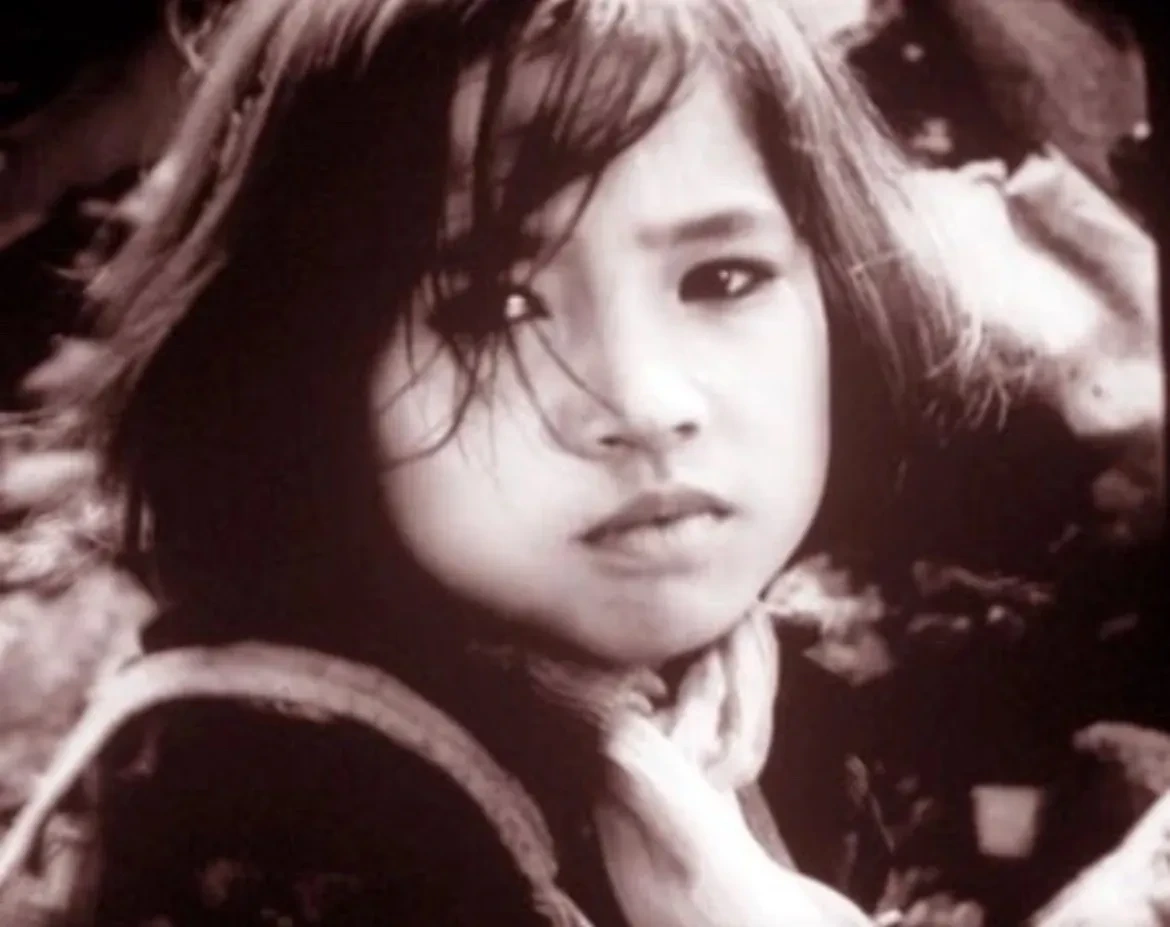 Trình chiếu, giới thiệu 10 bộ phim Việt Nam tại Hoa Kỳ