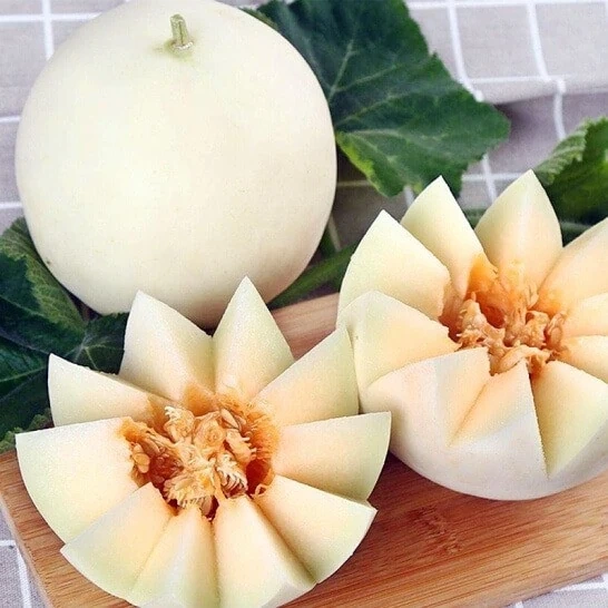 Giá cả thị trường ngày 24/9/2025