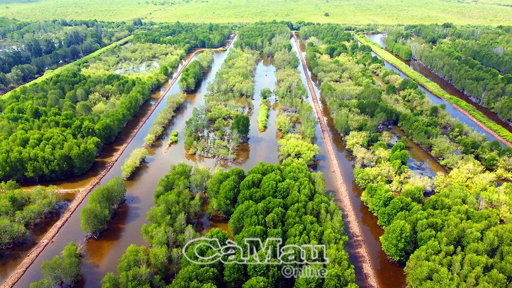 Khát vọng vươn xa từ du lịch xanh, sinh thái