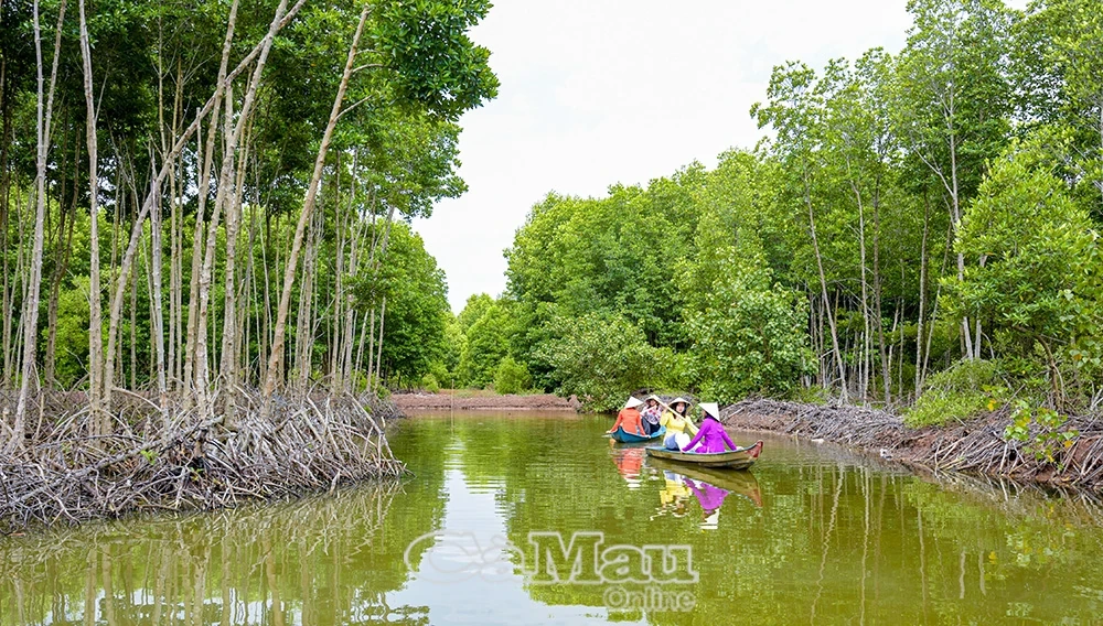 Khát vọng vươn xa từ du lịch xanh, sinh thái
