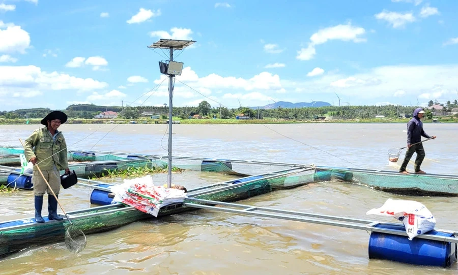 Xanh hóa sinh kế vùng sông nước