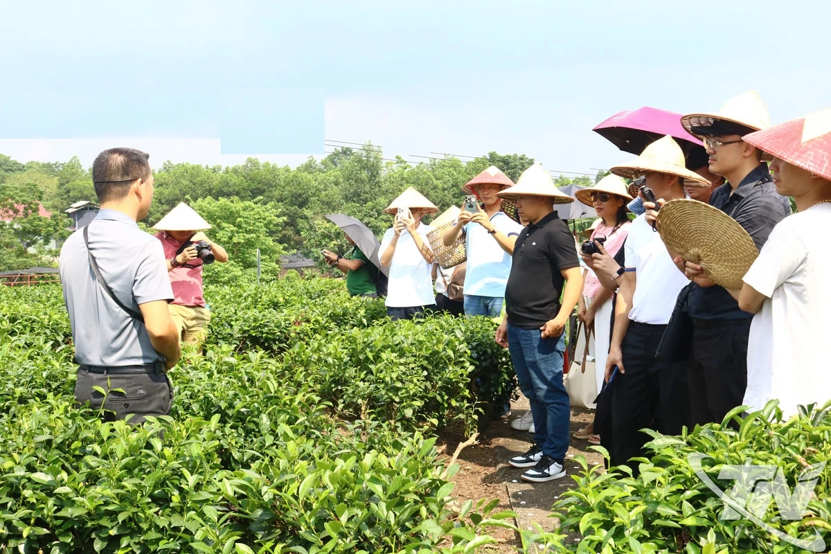Du lịch bền vững - hướng đi tất yếu thời hội nhập