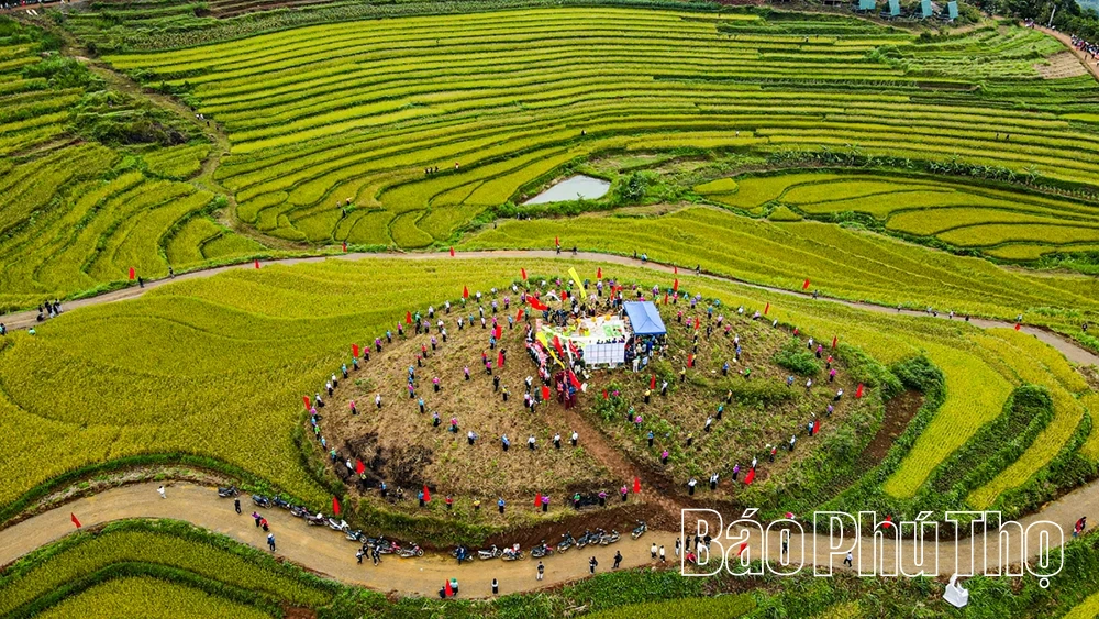 Lễ hội Ruộng bậc thang Miền Đồi năm 2025