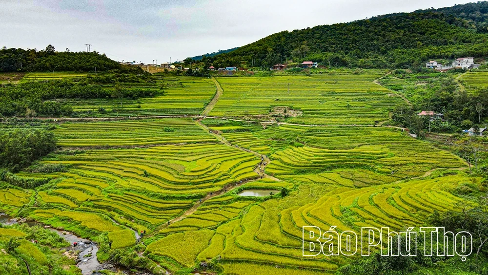 Lễ hội Ruộng bậc thang Miền Đồi năm 2025