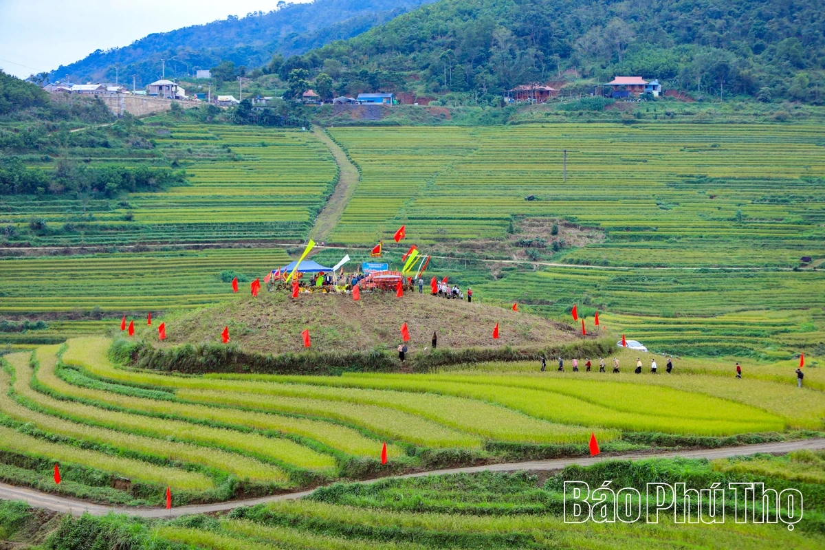 Mùa lúa chín Miền Đồi - điểm hẹn văn hóa Mường
