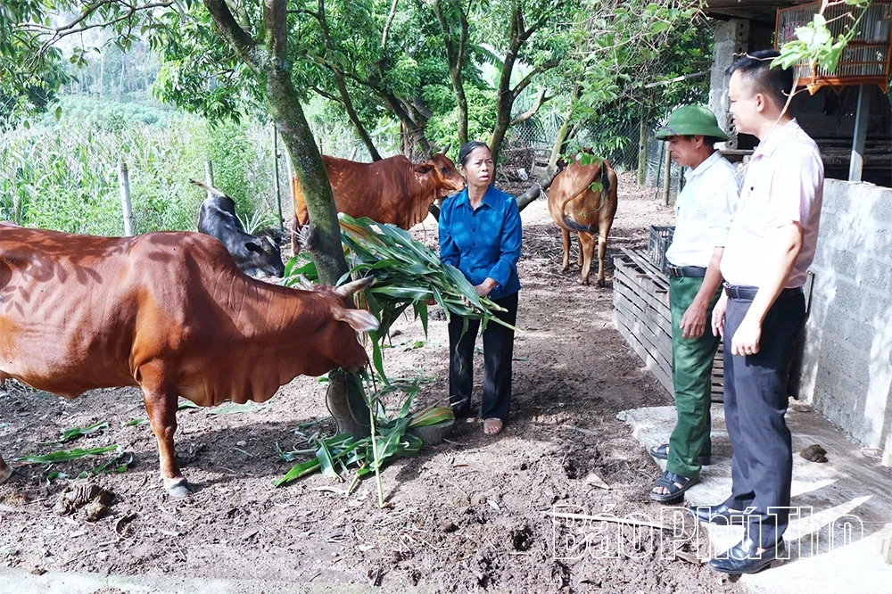Phát huy vai trò các tổ chức chính trị - xã hội cho vay uỷ thác