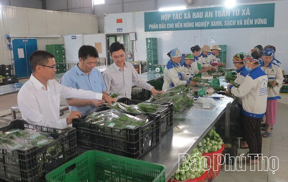 Giải pháp nâng cao giá trị và bảo vệ người tiêu dùng