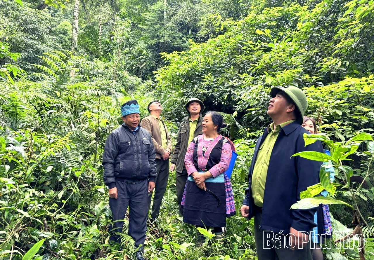 Khi người Mông giữ rừng làm du lịch