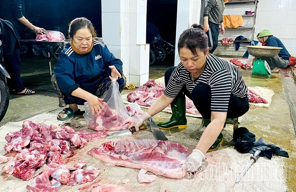 Kỳ II: Đi tìm giải pháp xây dựng cơ sở giết mổ tập trung