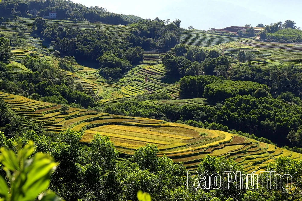 Miền Đồi thơ mộng