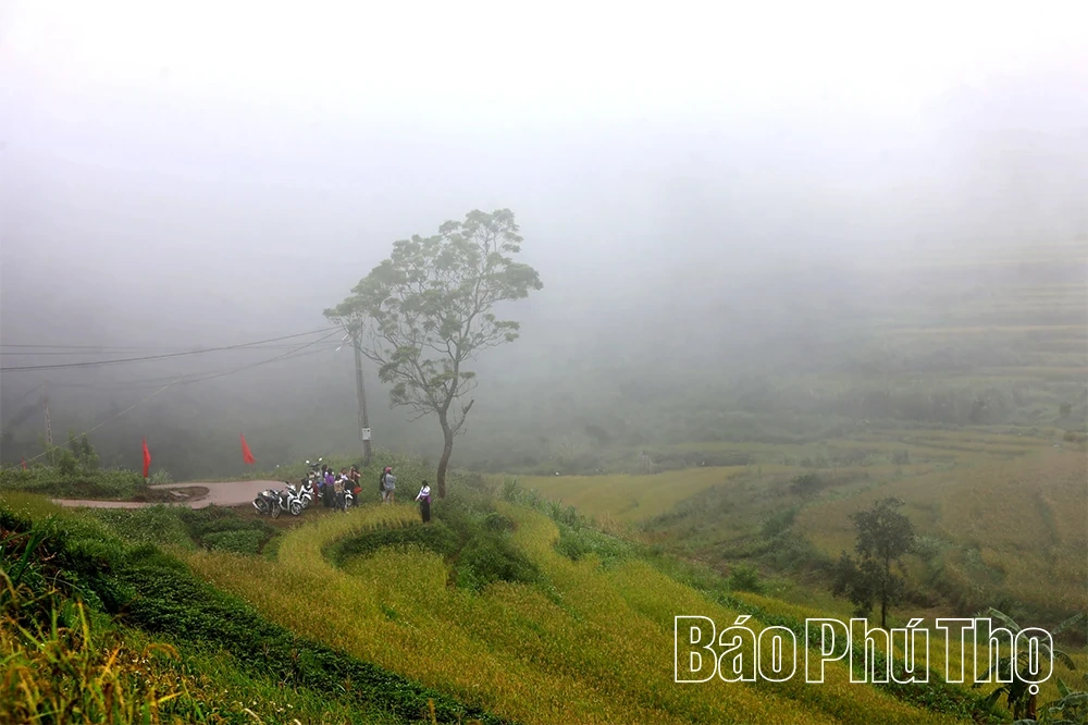 Miền Đồi thơ mộng