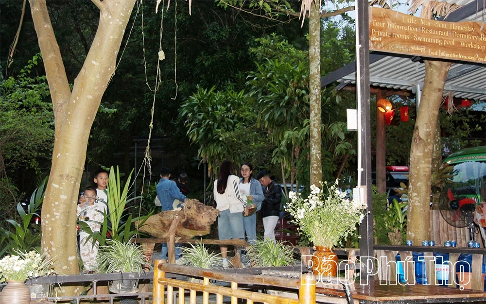 Người đưa hương sắc núi rừng lên bản đồ du lịch quốc tế