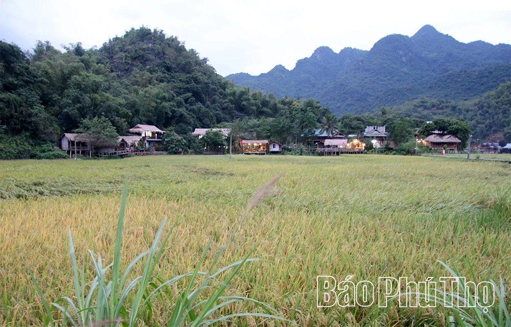 Người đưa hương sắc núi rừng lên bản đồ du lịch quốc tế