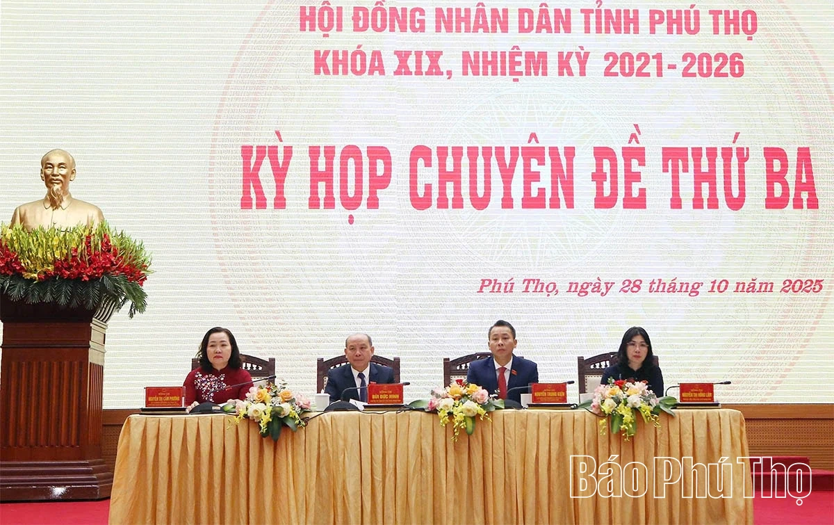 Kỳ họp chuyên đề thứ Ba - HĐND tỉnh khóa XIX: Thảo luận và thông qua 28 nghị quyết