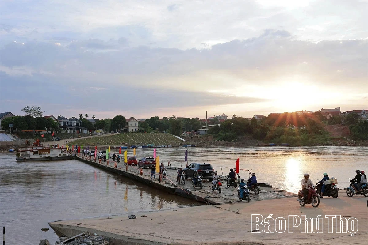 Cây cầu lòng tin