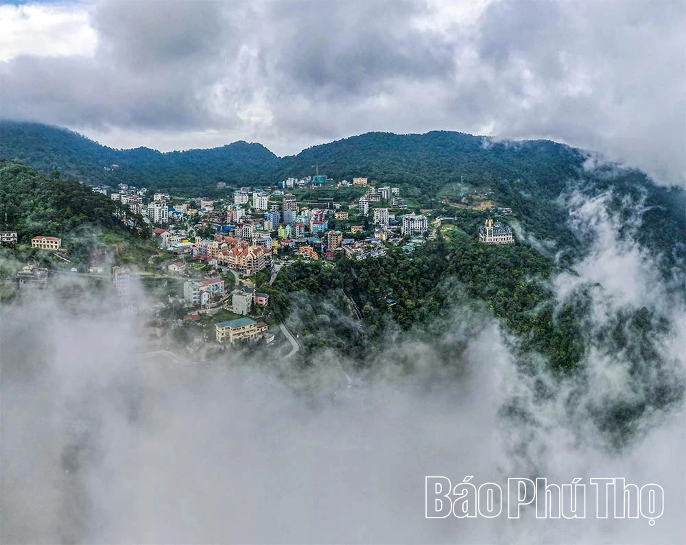 Biển mây Tam Đảo: Khoảnh khắc chạm vào kỳ ảo