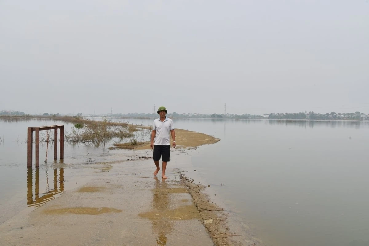 Độc đáo mô hình cá khách ở Quốc Oai