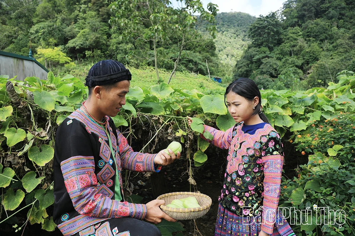 Bài 1: Mang cuộc sống mới về bản