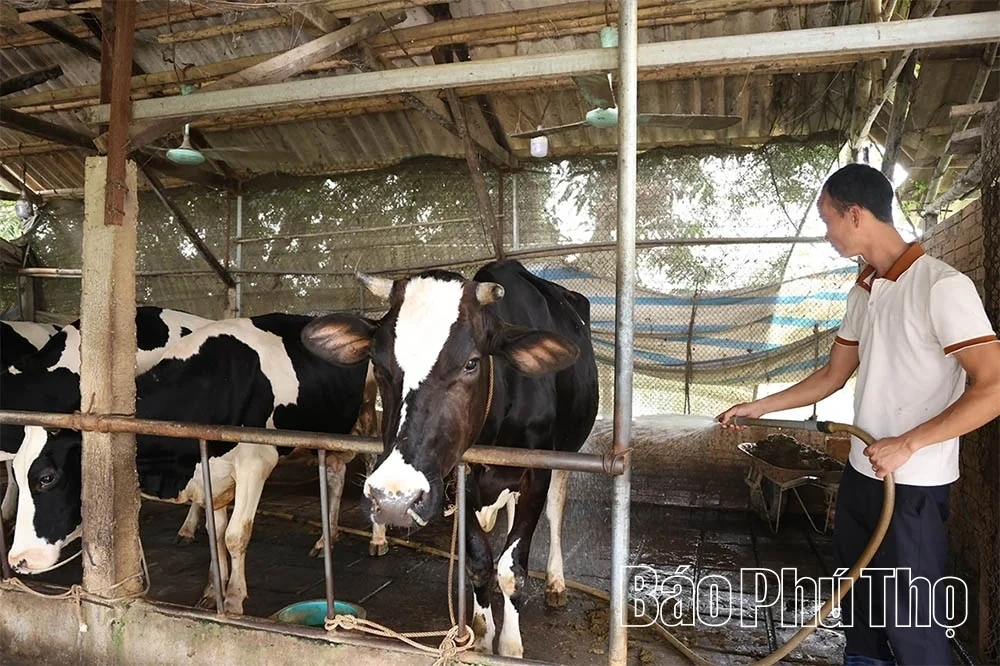 The Prosperous Countryside Along the Red River