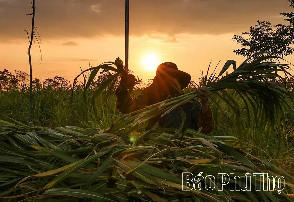 The Prosperous Countryside Along the Red River