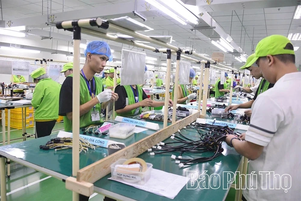 Determined Efforts Toward the 2025 Growth Target